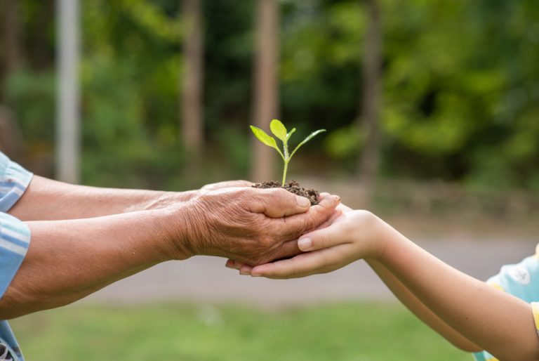 Jardinería con niños – Beneficios positivos al aire libre
